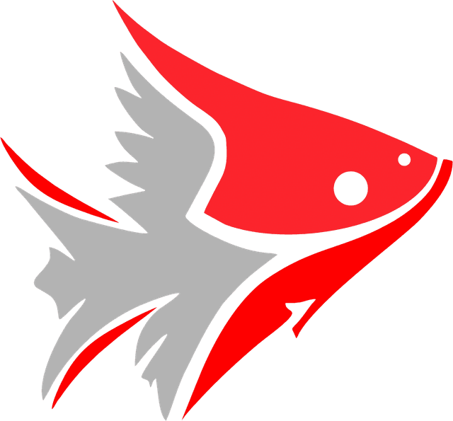 Barci Spinning Logo